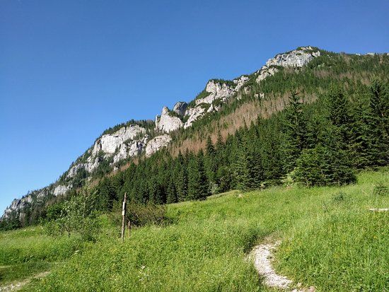 Tal Dolina Kościeliska